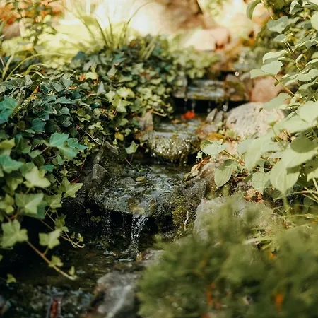 Paulshoehe Gasthuis 4*