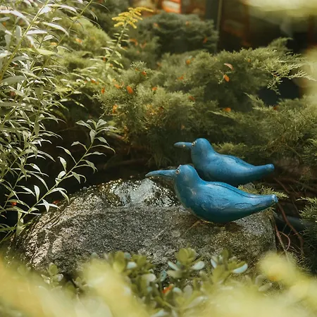 Guest house Paulshoehe 4*