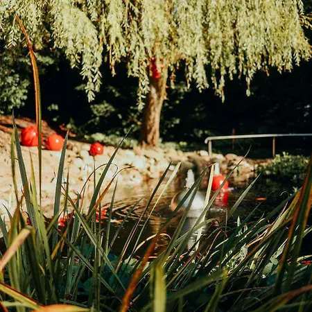 Paulshoehe Guest house 4*