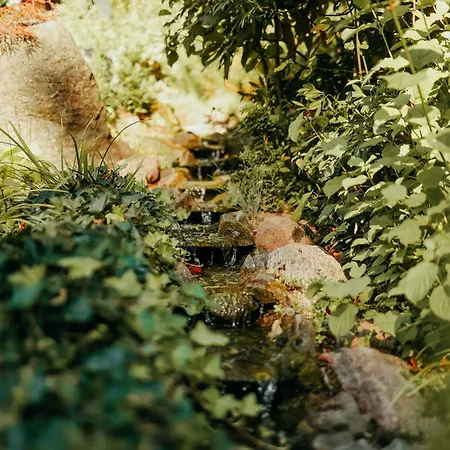 Gasthuis Paulshoehe 4*