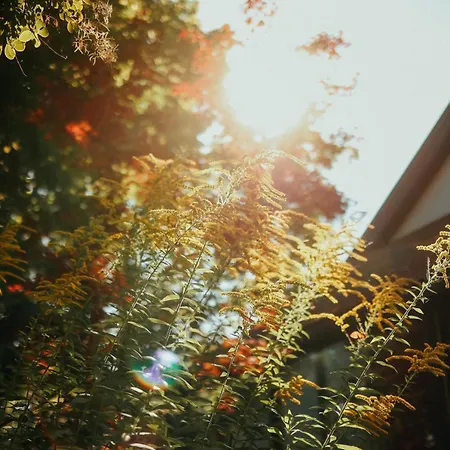 Gasthuis Paulshoehe Waren (Mueritz)